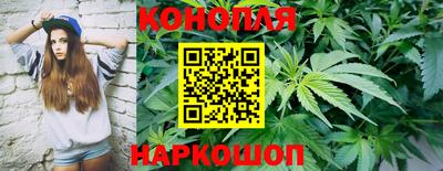 прущие крисы Новозыбков