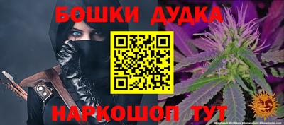 PSILOCYBIN Новодвинск