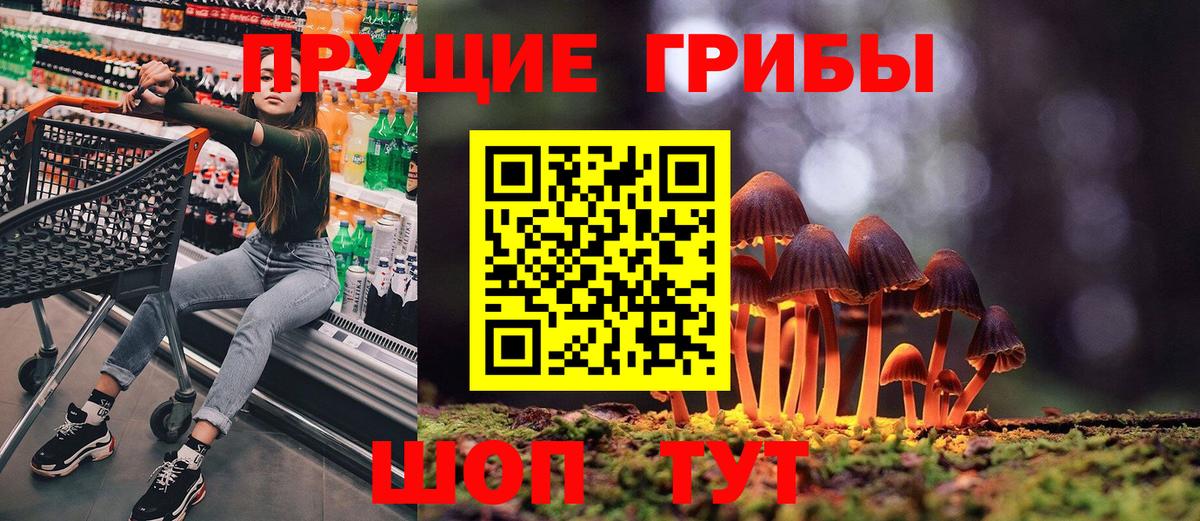 Псилоцибиновые грибы Psilocybine cubensis  наркошоп  Галлюциногенные грибы мицелий  Невинномысск  Вход с VPN 