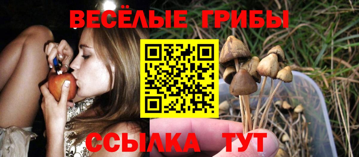 Галлюциногенные грибы мухоморы Невинномысск